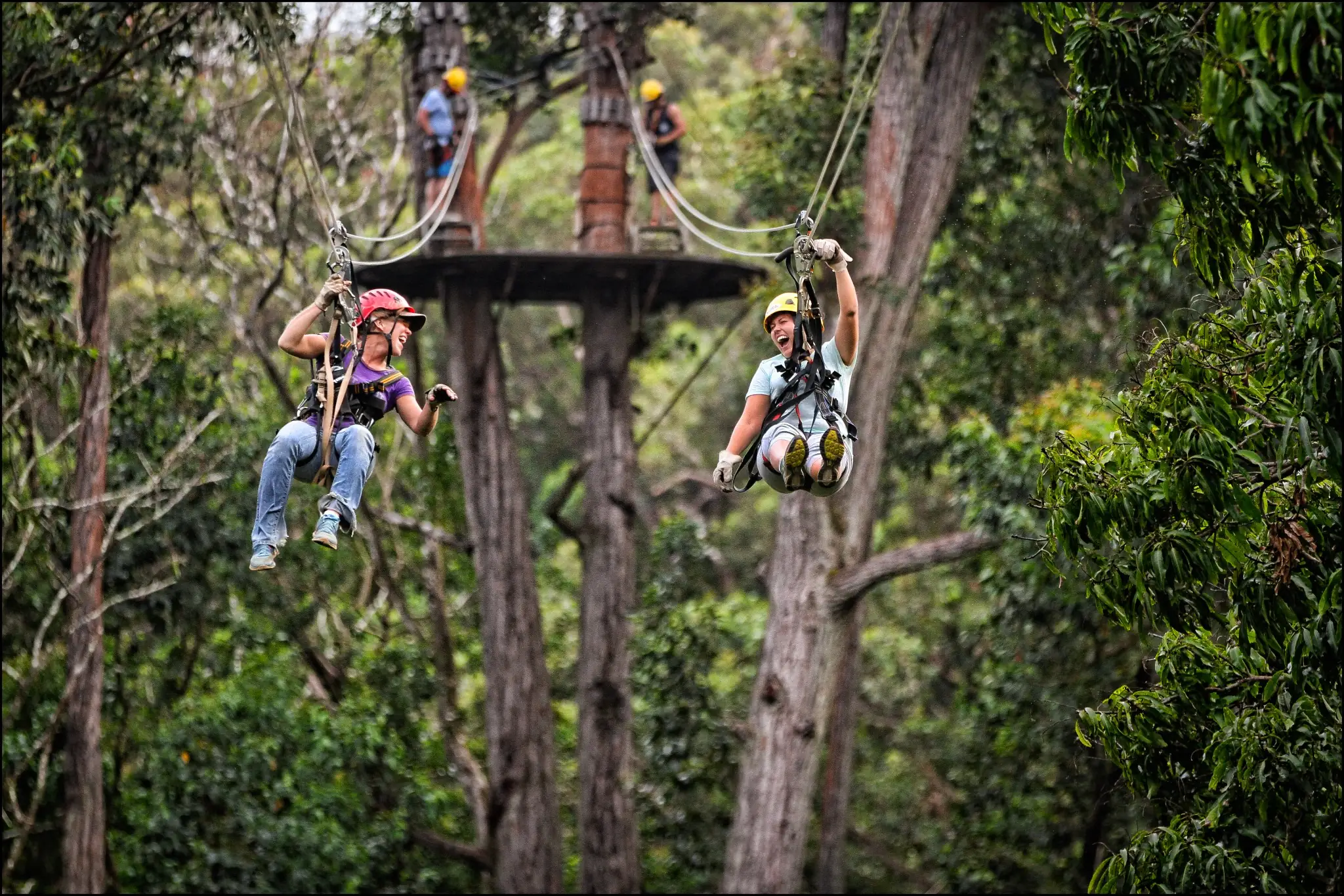 kohla-zipline