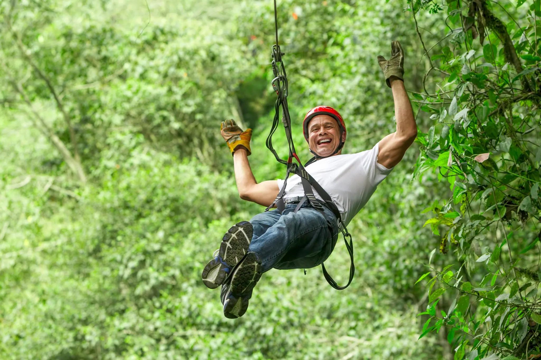 gallery-2