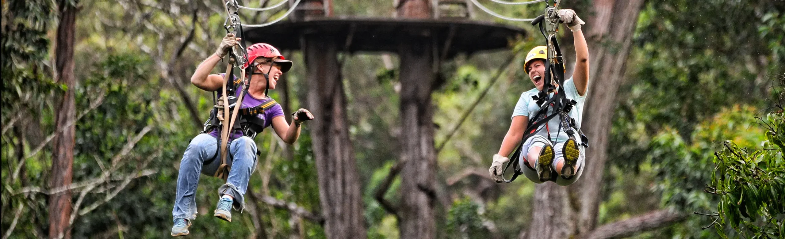 Kohala Zipline Adventure