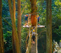 kohla-zipline