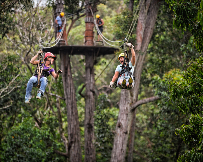 Kohala Zipline Adventure