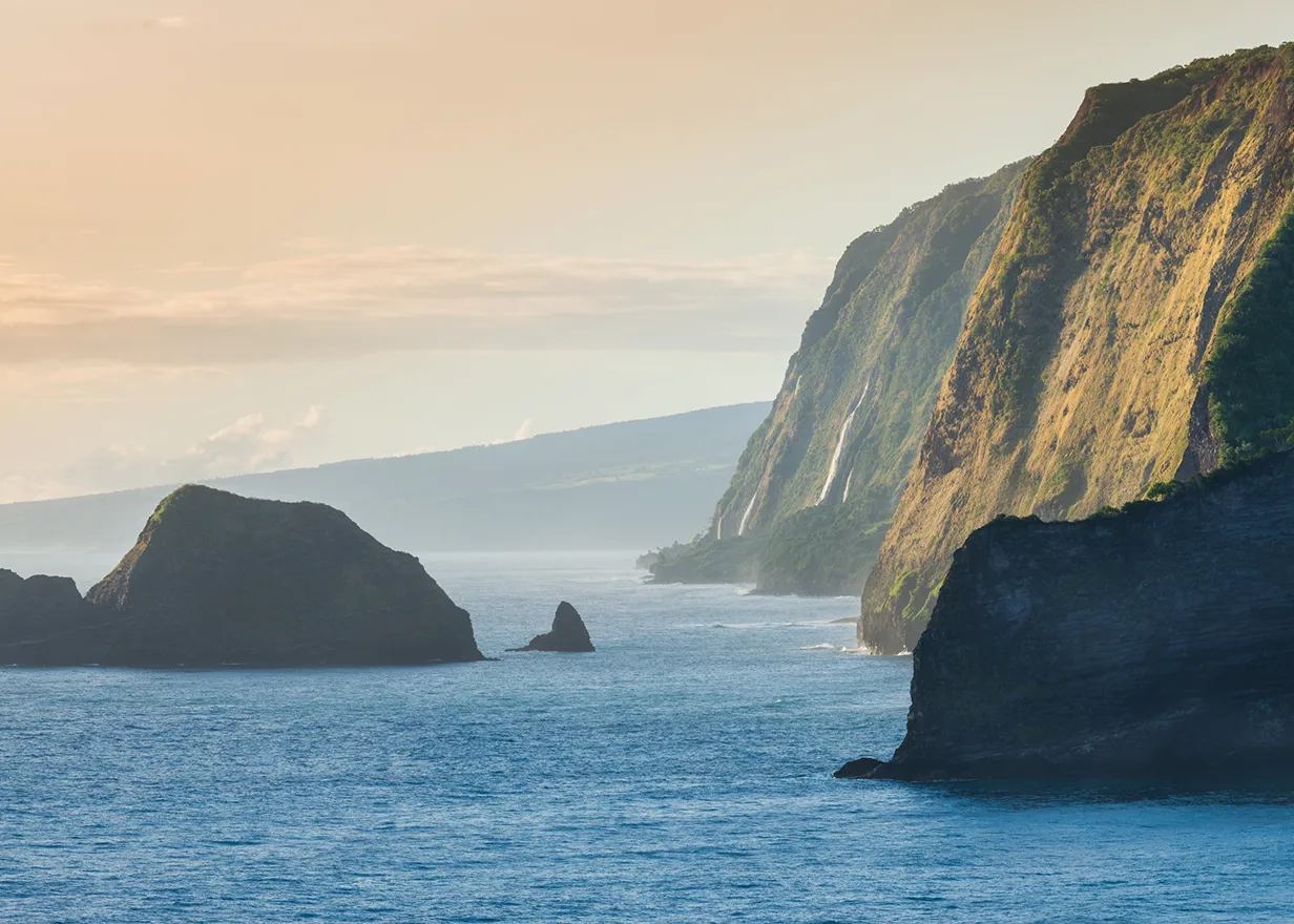 pololu