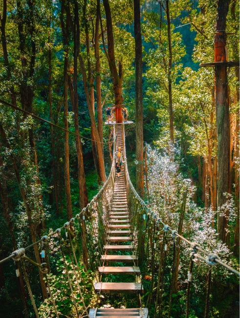 zipline