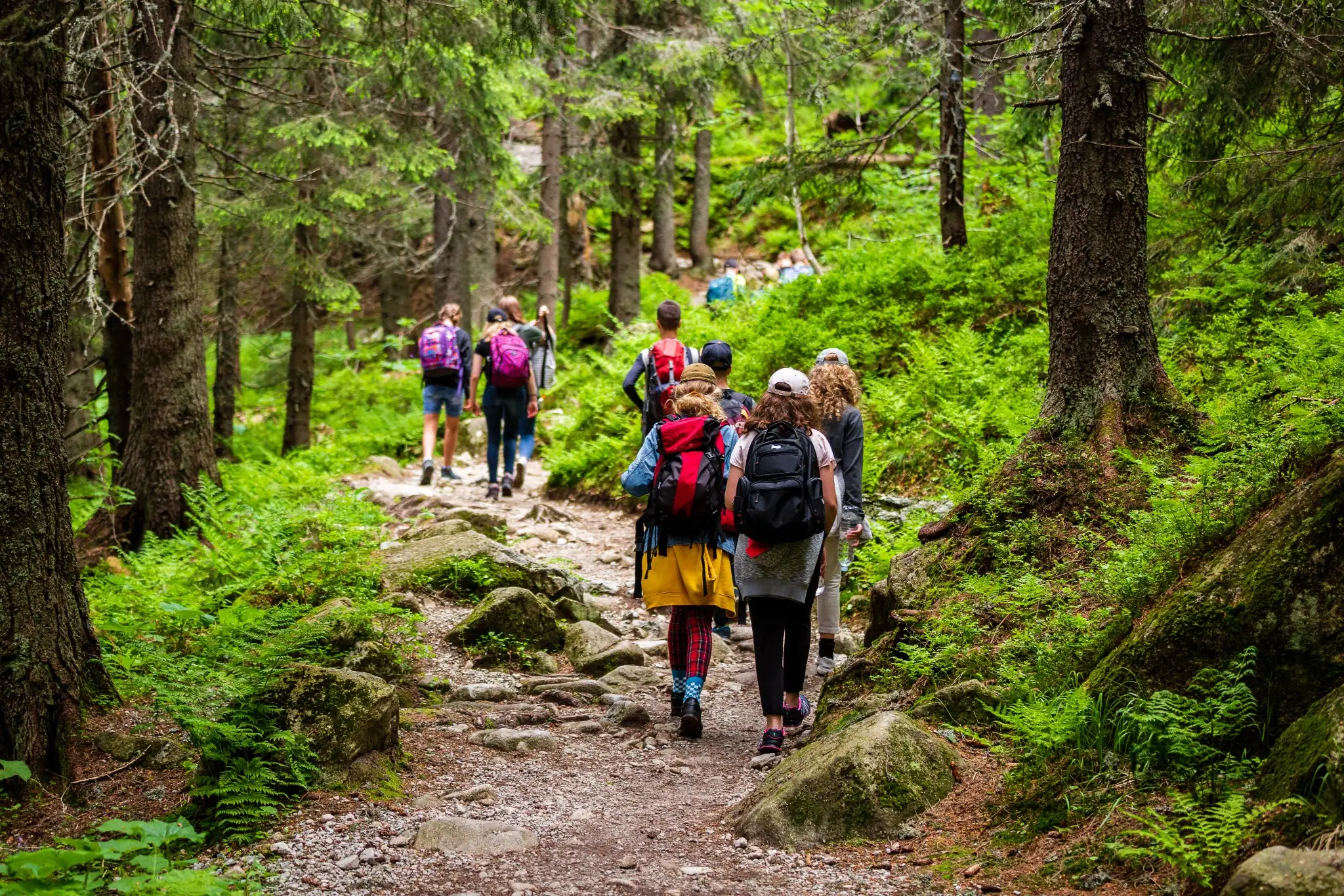 Private & Group Tours