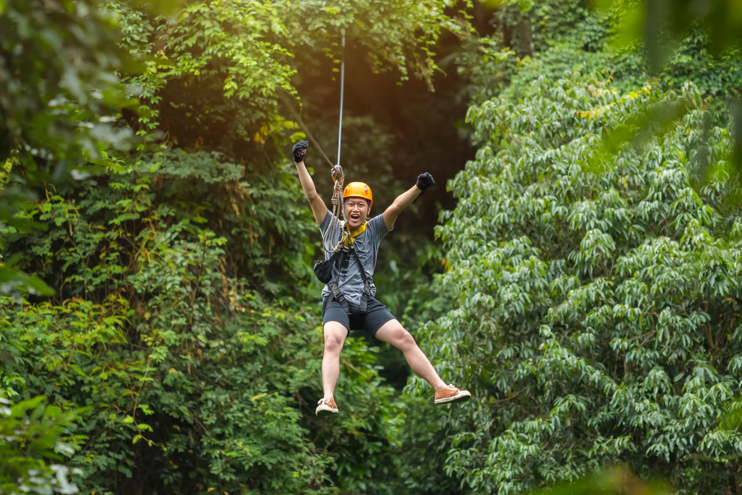 Zipline Tours